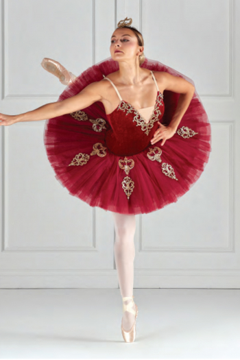 Burgundy worked tutu