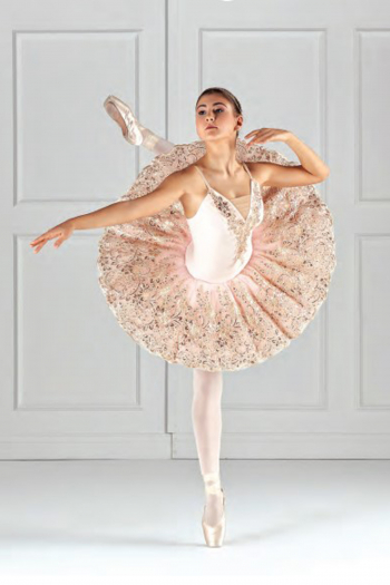 Costume de danse princesse pour enfants, justaucorps Tutu Ballet